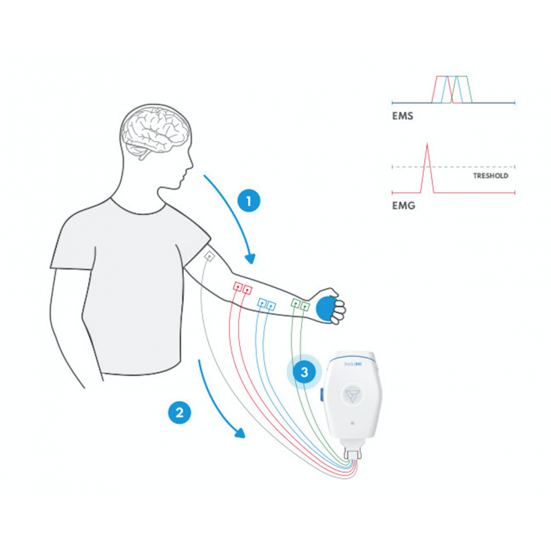 Stella Bio Emg Triggered Ems And Fes Electrical Muscle Stimulation And